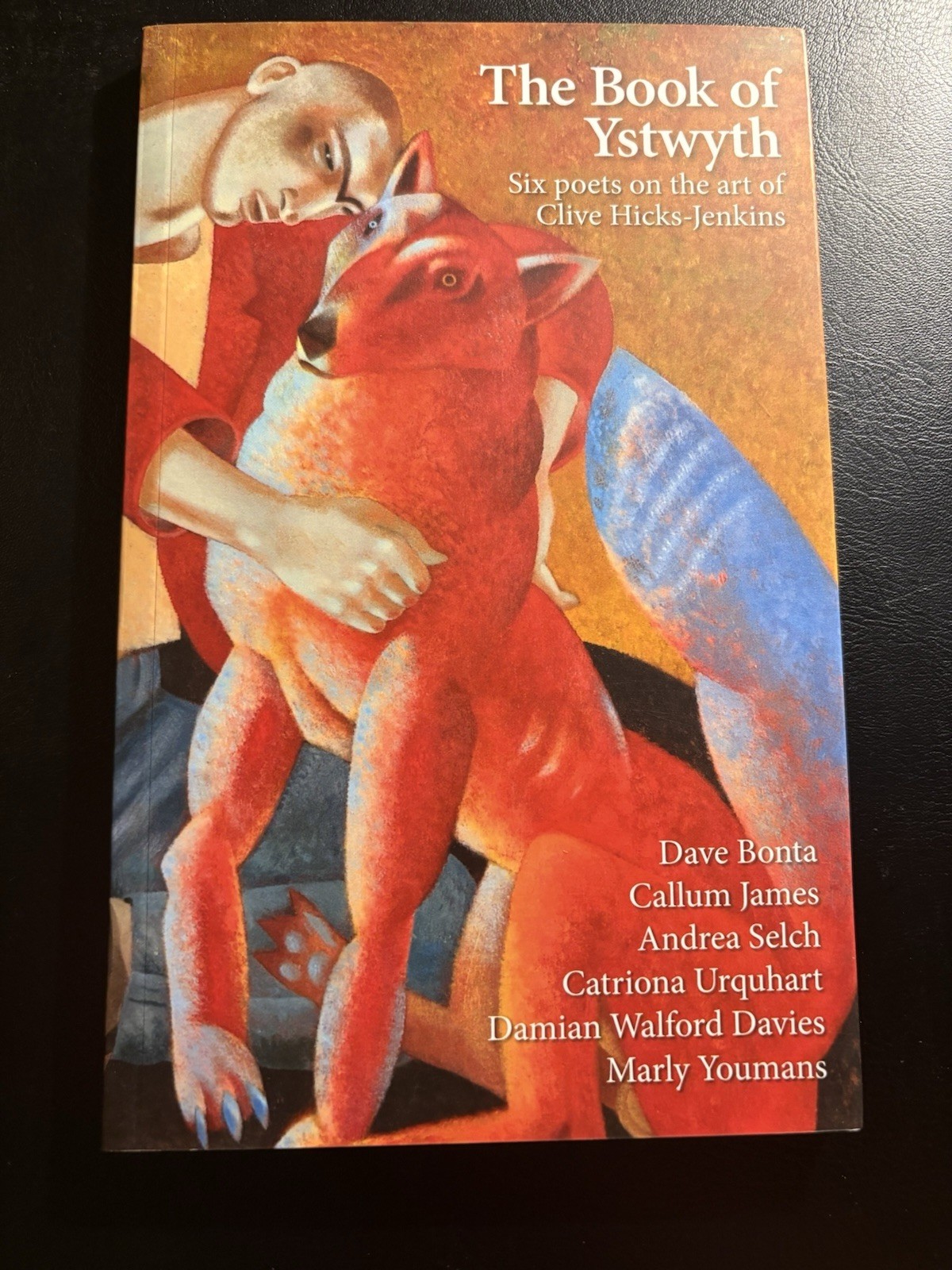 The Book of Ystwyth Clive Hicks-Jenkins 2011 Welsh Poetry Art Carolina Wren