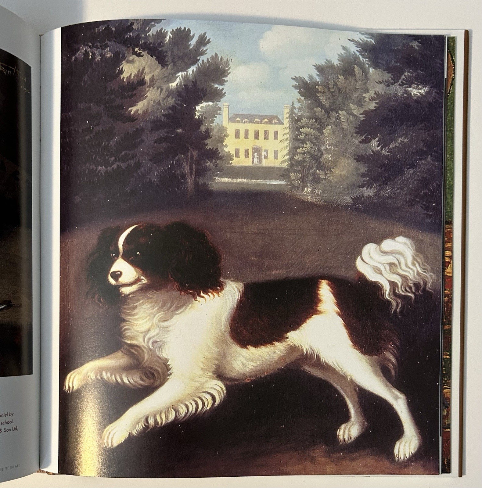 SIGNED Cavalier King Charles Spaniel by Wilson (2007, Hardcover)
