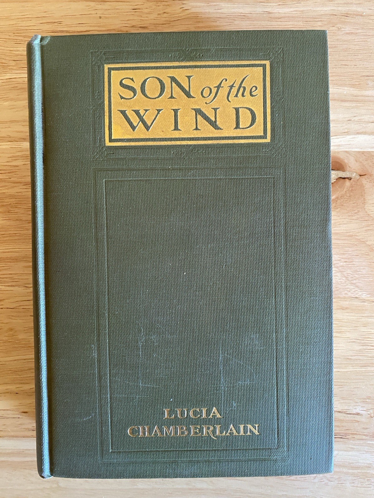 Lucia Chamberlain SON OF THE WIND The Bobbs Merrill Company 1910 Antique Book