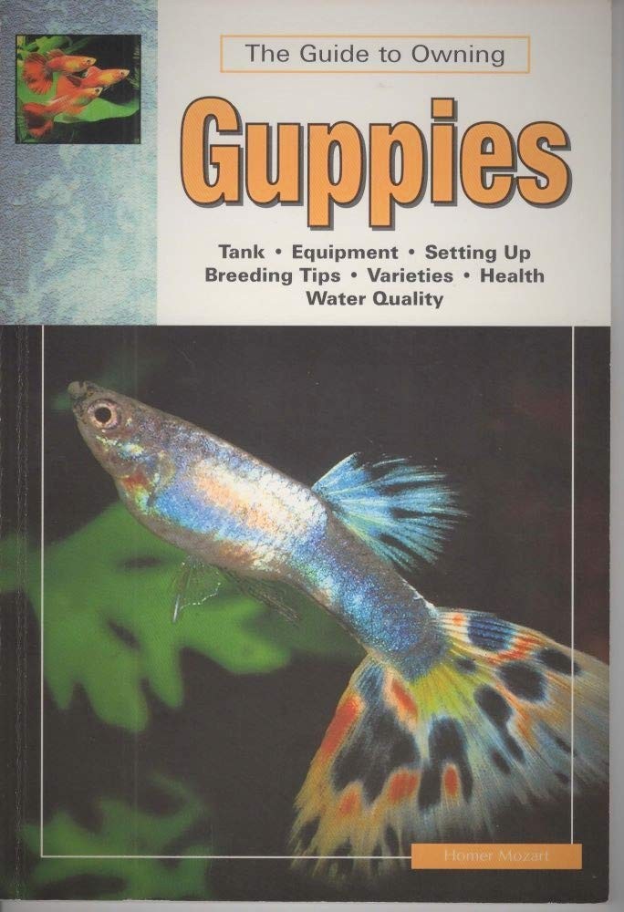The Guide to Owning Guppies