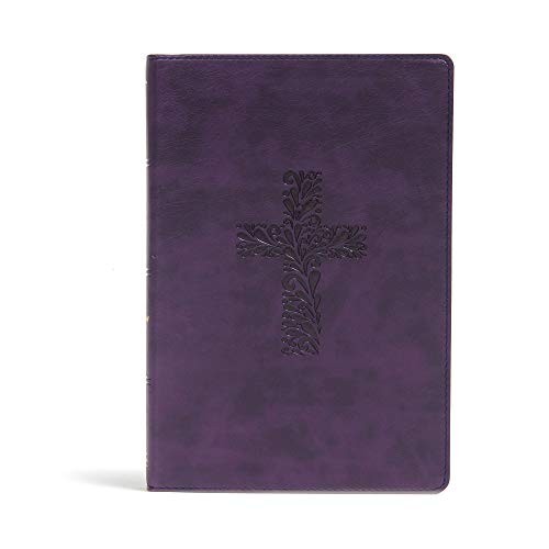 KJV RAINBOW STUDY BIBLE, PURPLE
