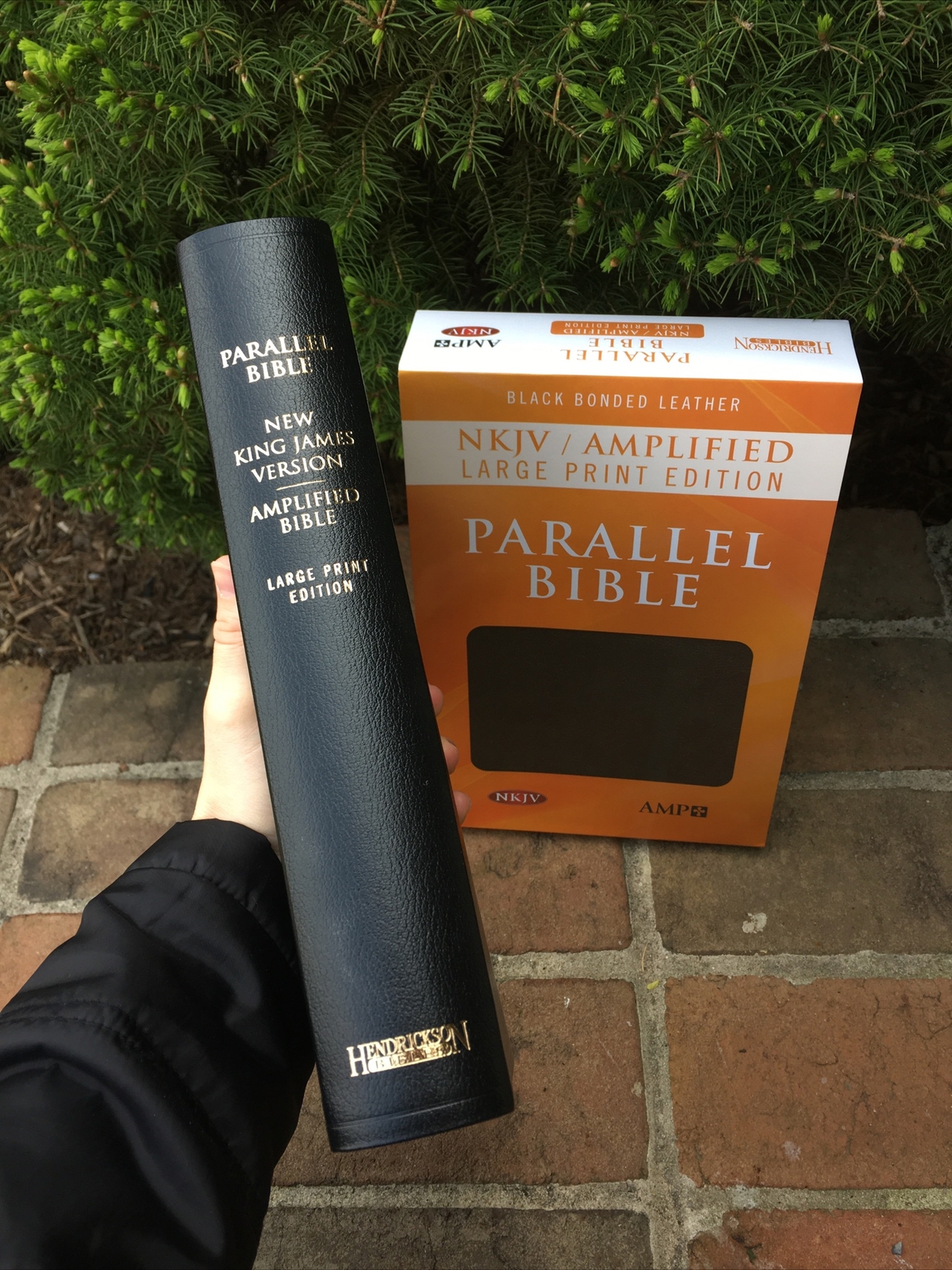 NKJV & Classic Amplified 1987 AMPC Parallel Bible – Black Bonded Leather