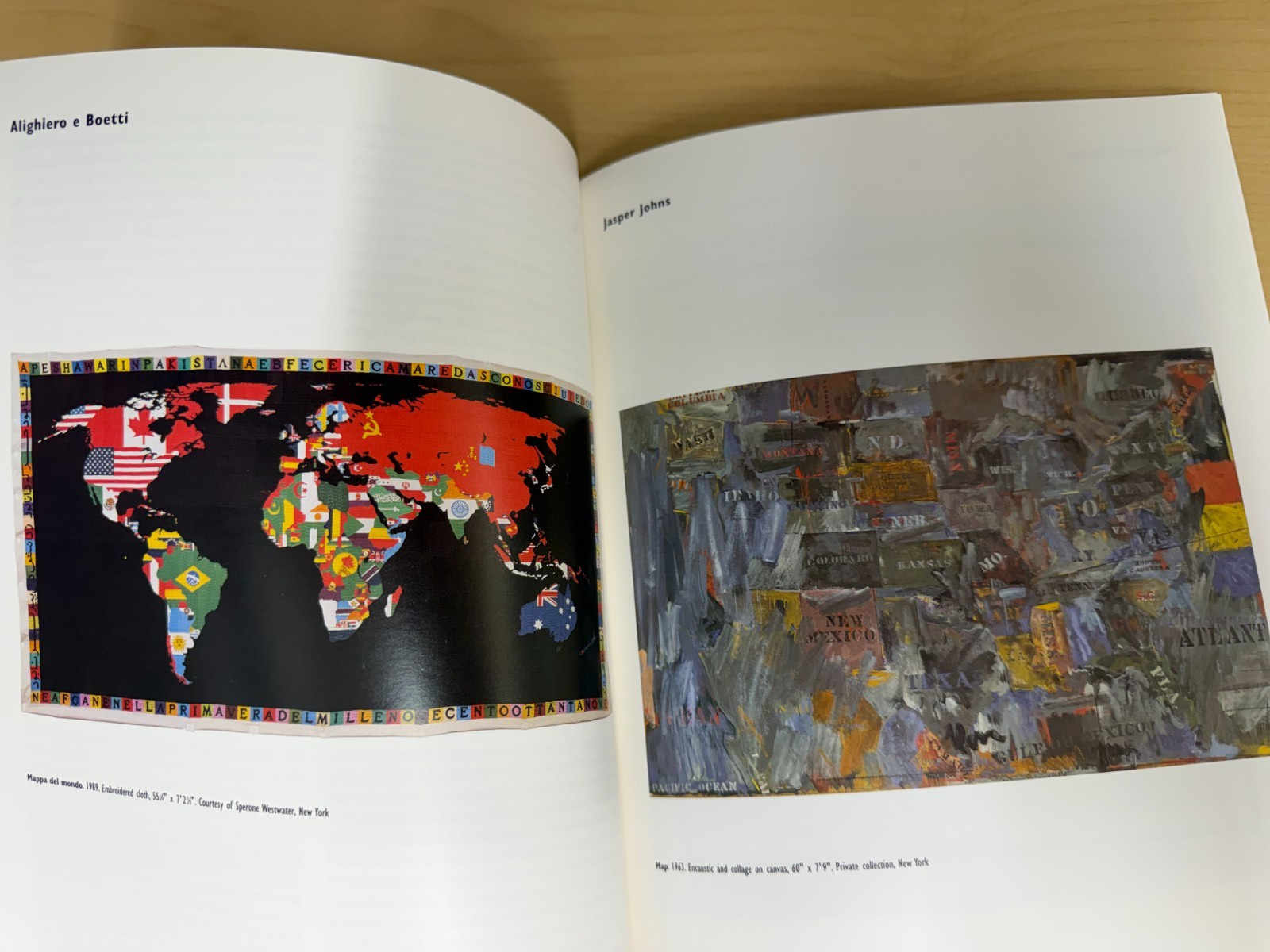 Mapping by ROBERT STORR Museum of Modern Art (MOMA) 1994