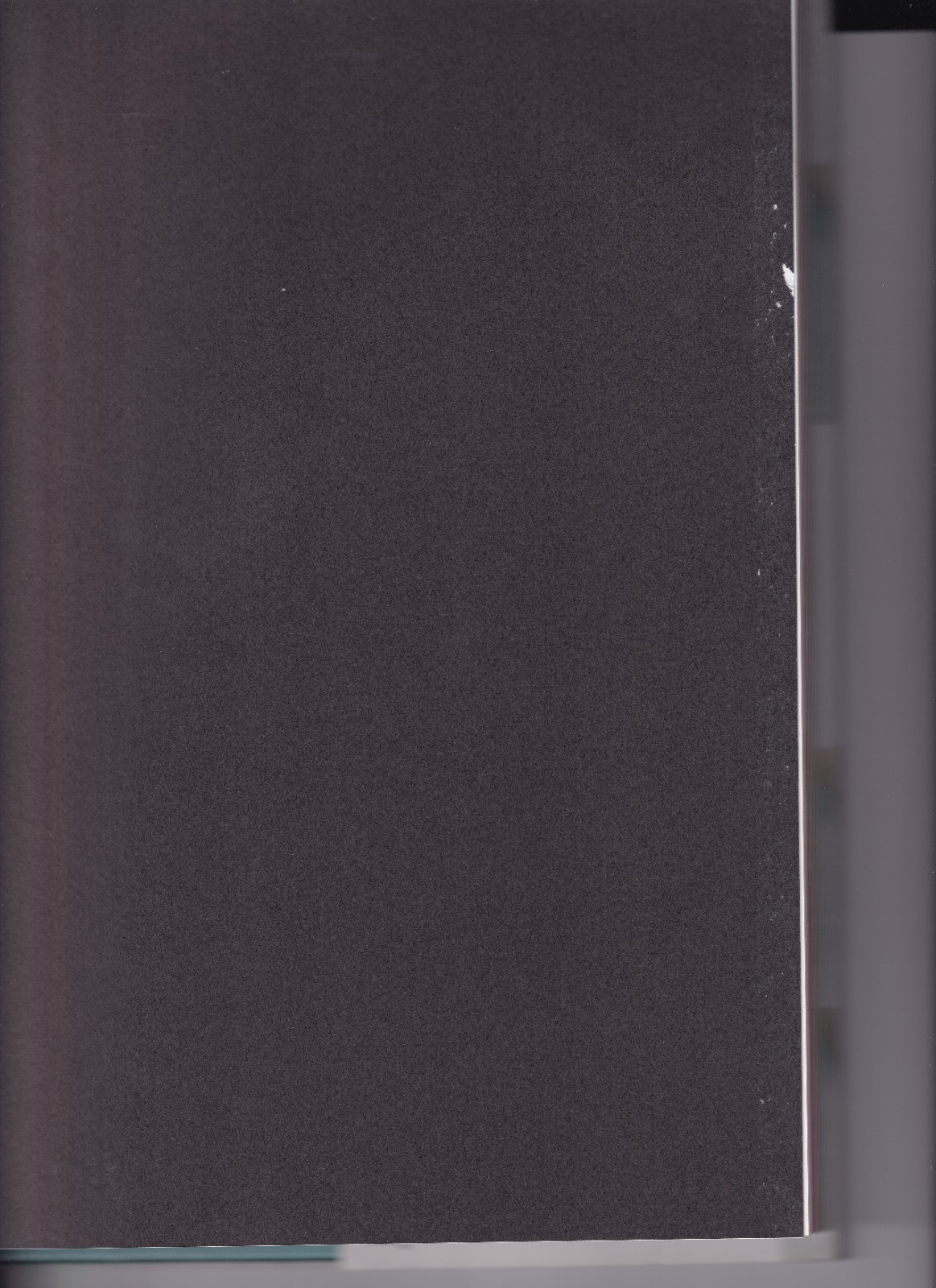 Johnny Morgan Gaga 2010 Book Hardcover 160 Pages *PLEASE READ*