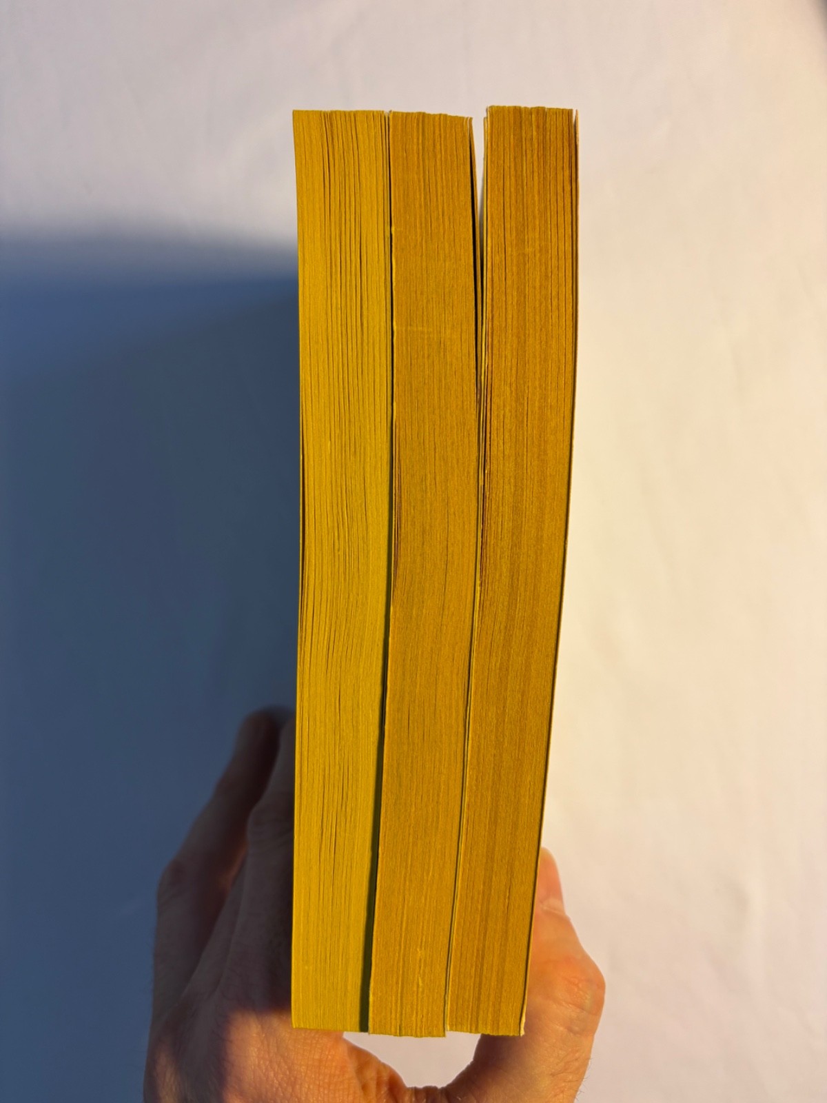Charles R. Saunders – First three Imaro PAPERBACKS Daw 1st editions