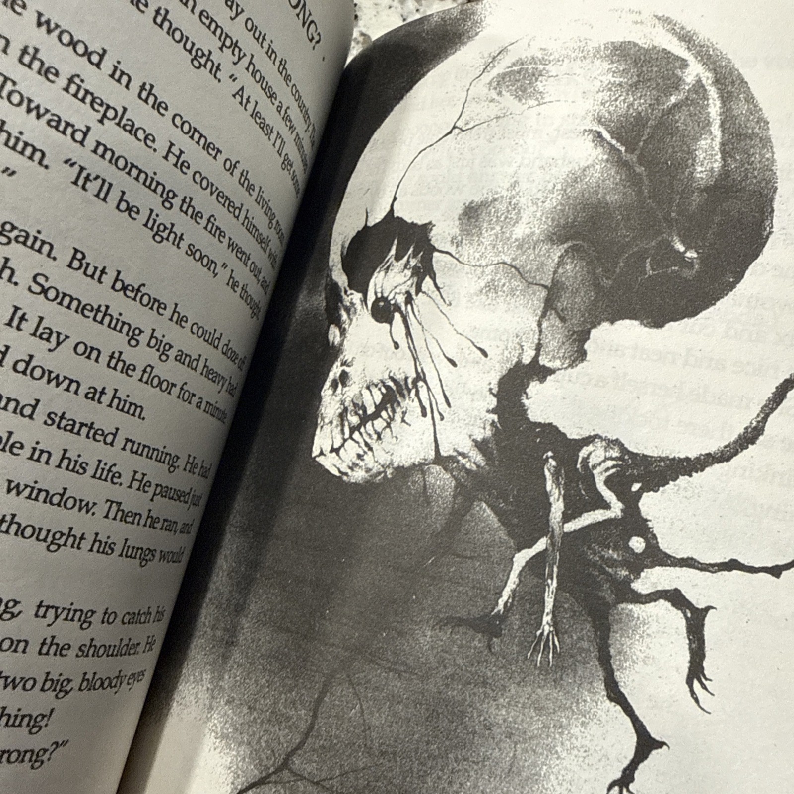 Scary Stories To Tell In the Dark Treasury Bk Set 1 2 3 Original Alvin Schwartz