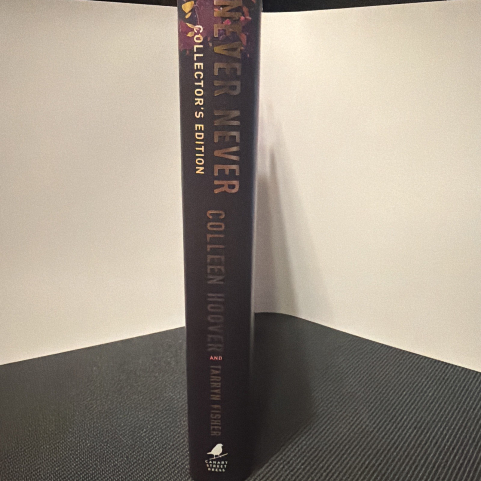 Never Never Collector’s Edition by Colleen Hoover and Tarryn Fisher (2024,…