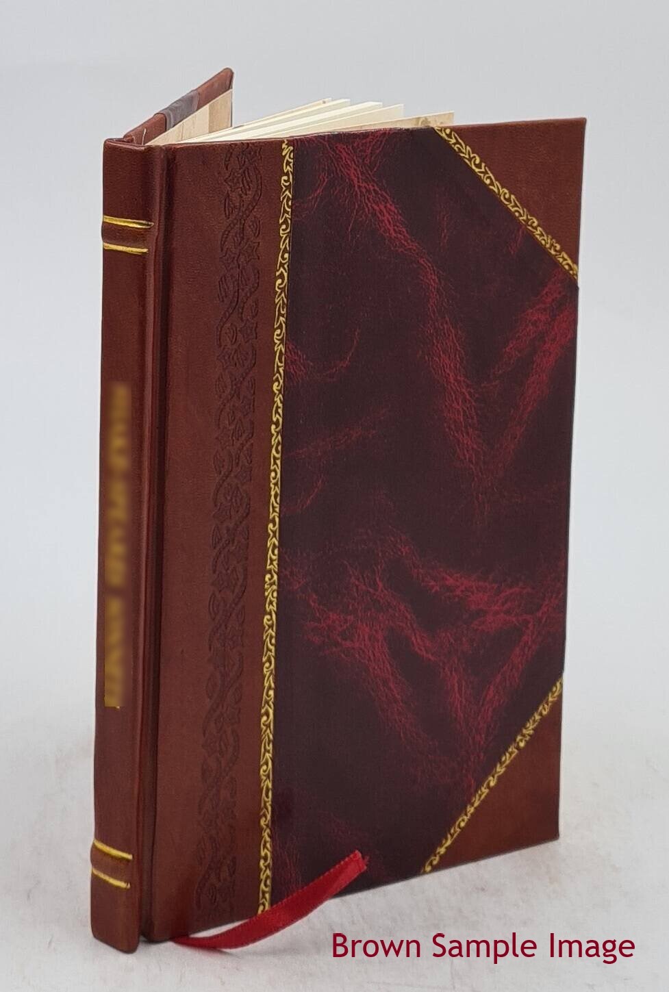 Post-Mortem Confessions: Being Letters Written Through A Mortal’ [Leather Bound]