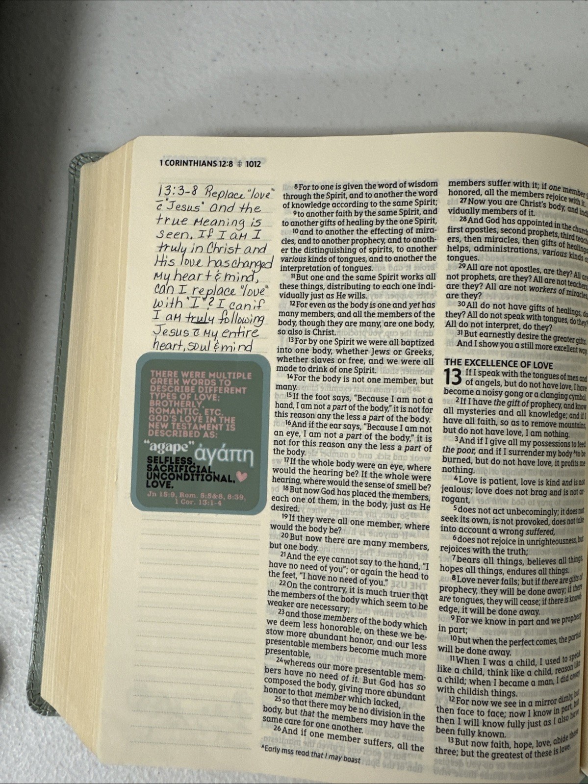 NASB, Artisan Collection Bible, Large Print, Leathersoft, Sage Floral, Red