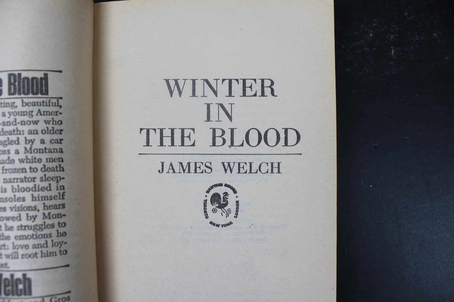 Winter In The Blood James Welch 1975 Bantam Book Native American Fiction PB