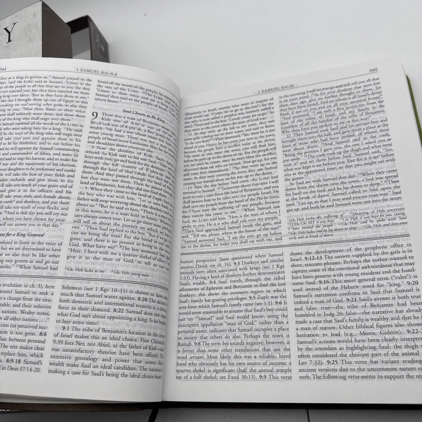 NRSV Wesley Study Bible: Sage Thicket Decotone by Joel B.Willimon, Willia Green