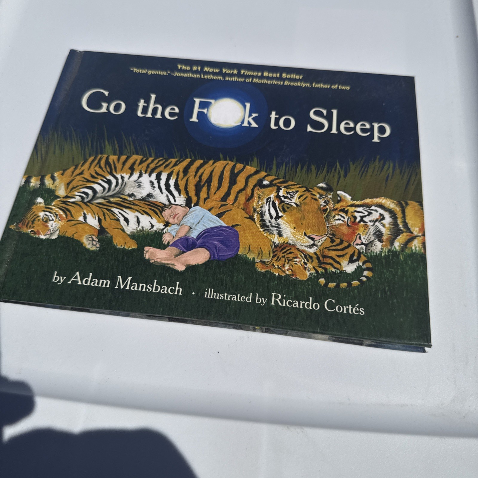 Go the Fuck to Sleep by Adam Mansbach