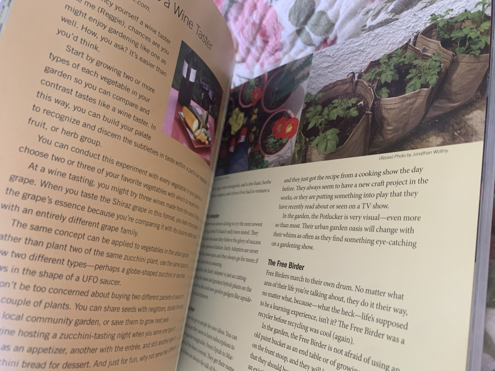 I Garden – Urban Style