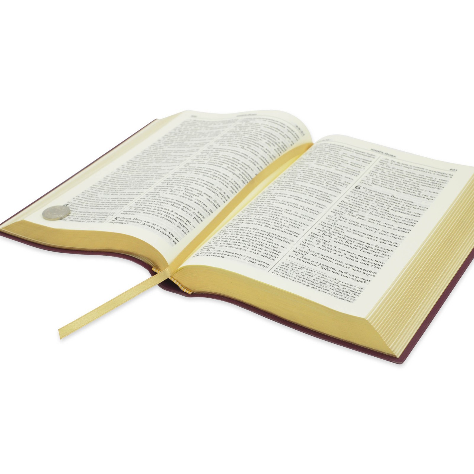 Bible in Ukrainian “БІБЛІЯ” сучасний український Переклад 17х23см великий формат