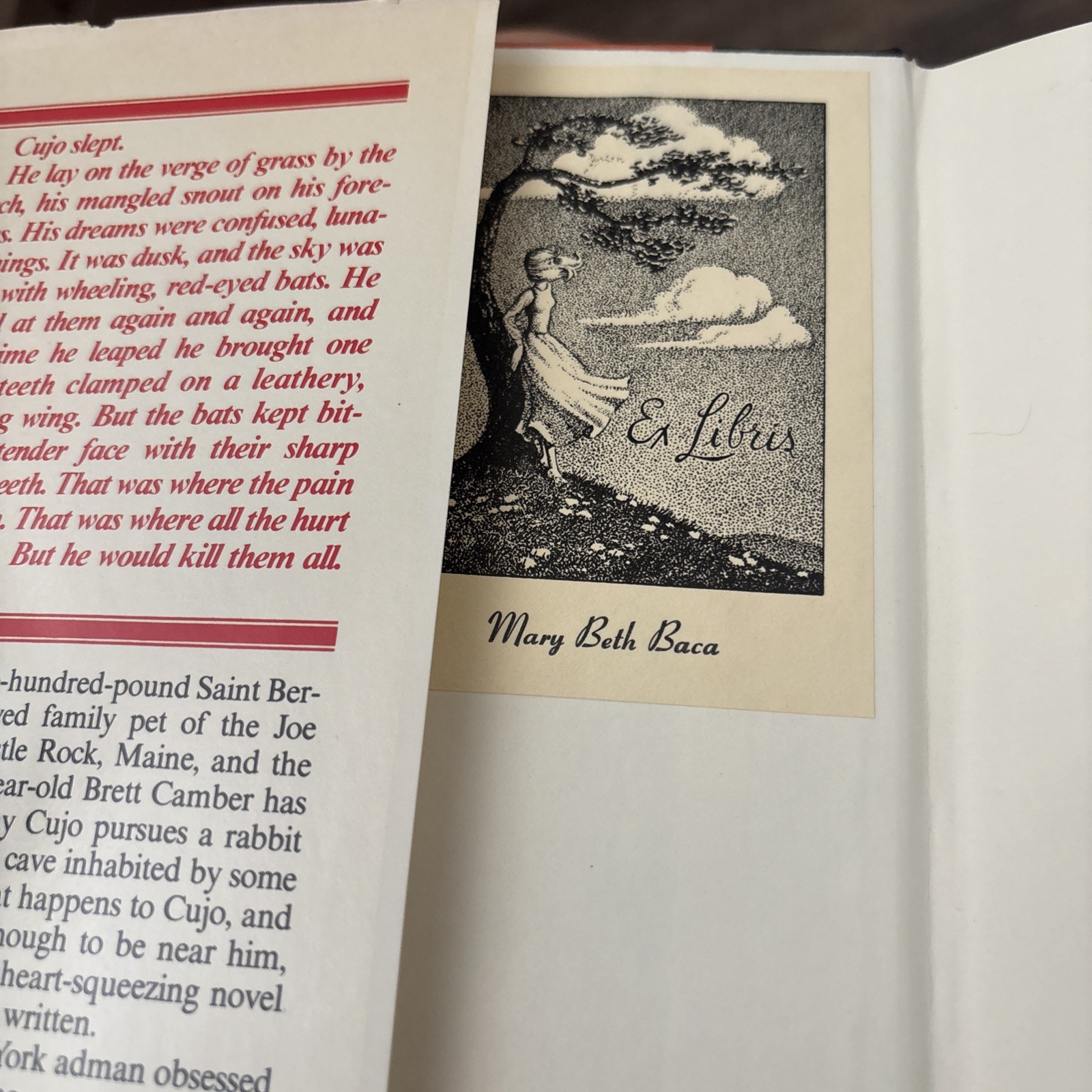 Cujo by Stephen King (1981, Hardcover With Dust Cover Preowned