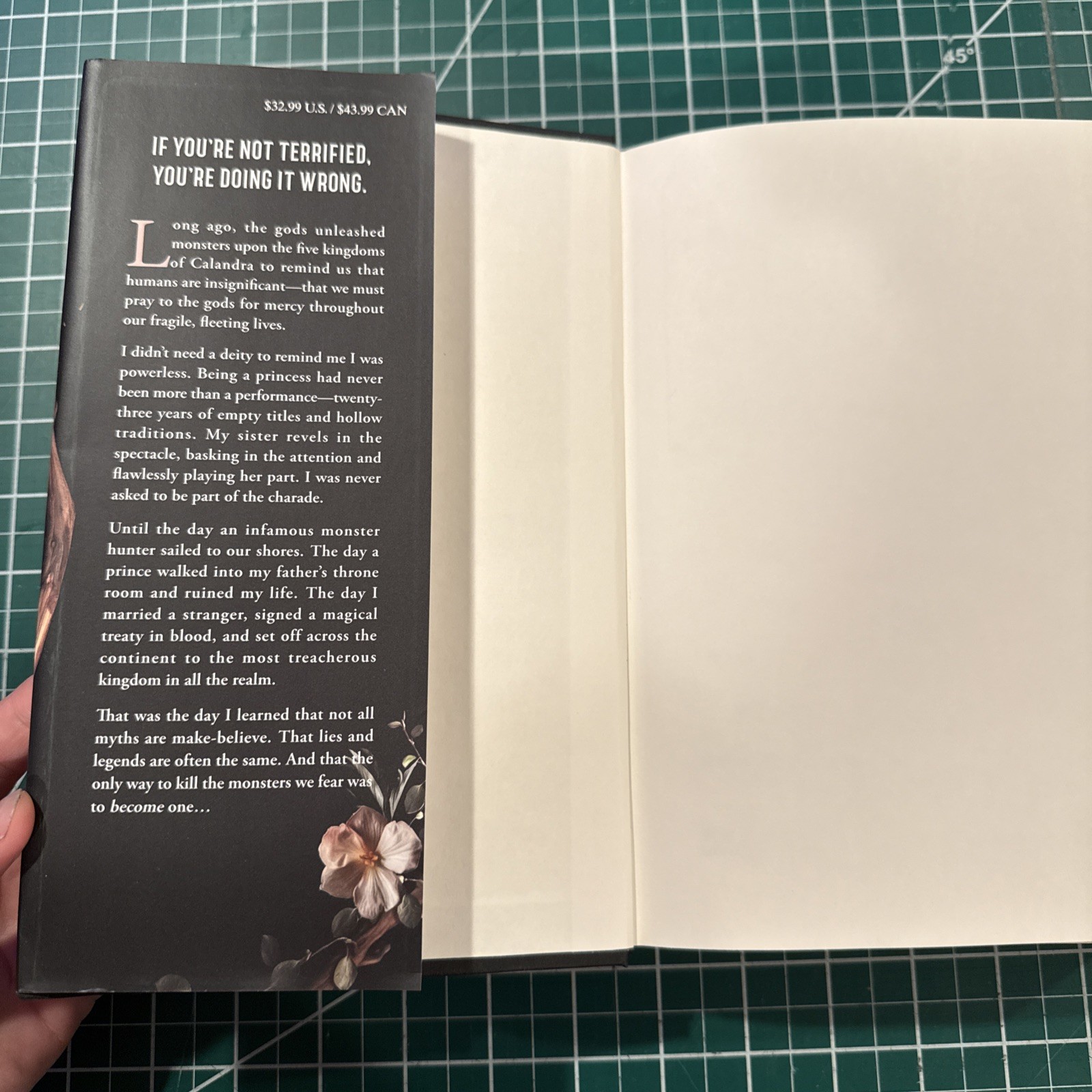 Shield of Sparrows (Regular Edition) Hardcover by Devney Perry