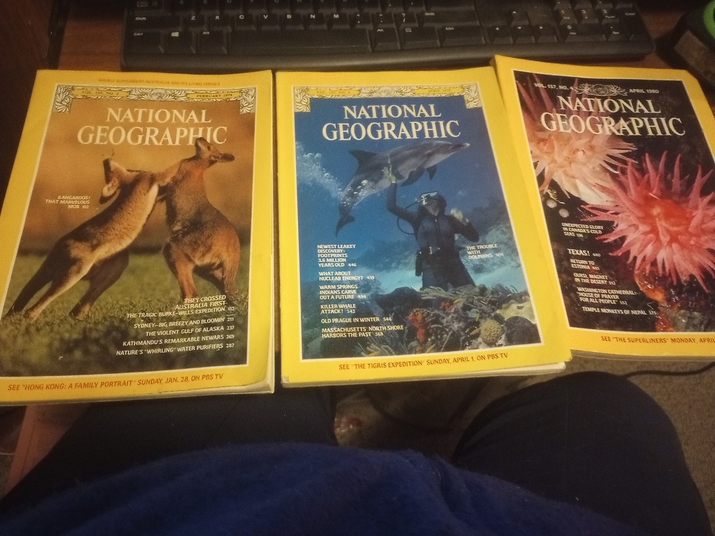 National Geographic Magazines 1976- 1983 You Pick The Issues 2.50-4.00