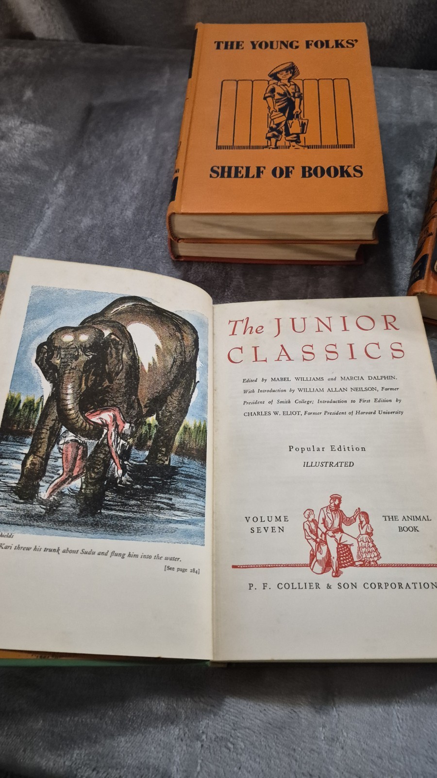 Collier’s The Junior Classics: The Young Folks Shelf of Books Set 6 Hardback OBO