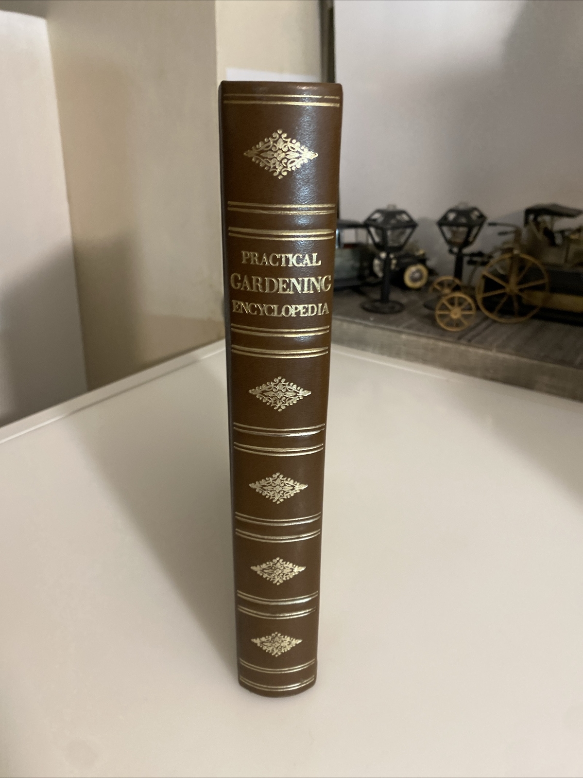 1977 Practical Gardening Encyclopedia Roy Hay abz