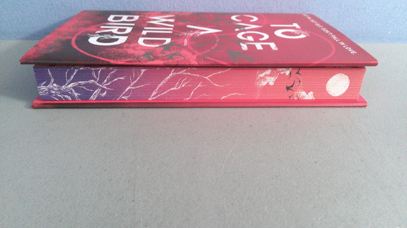 To Cage A Wild Bird 2025 HC Deluxe Limited Edition by Brooke Fast