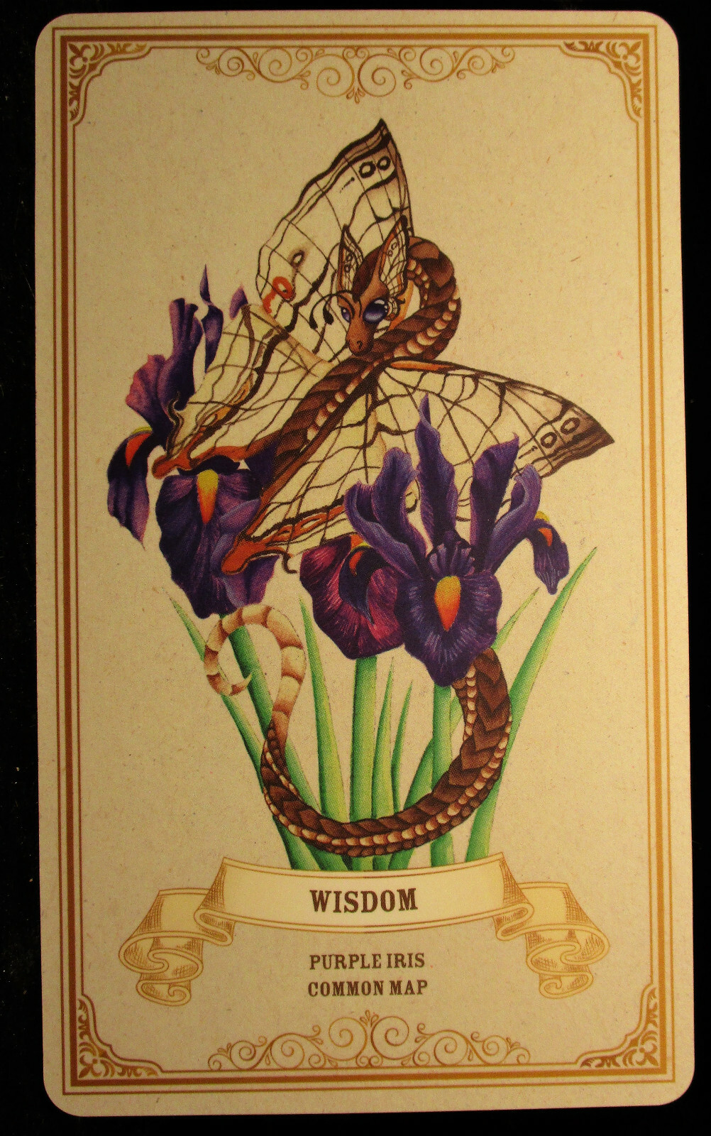 SEALED NEW ~ ENCHANTED BLOSSOMS CARDS & BOOK ORACLE DRAGONS BUTTERFLIES FLOWERS