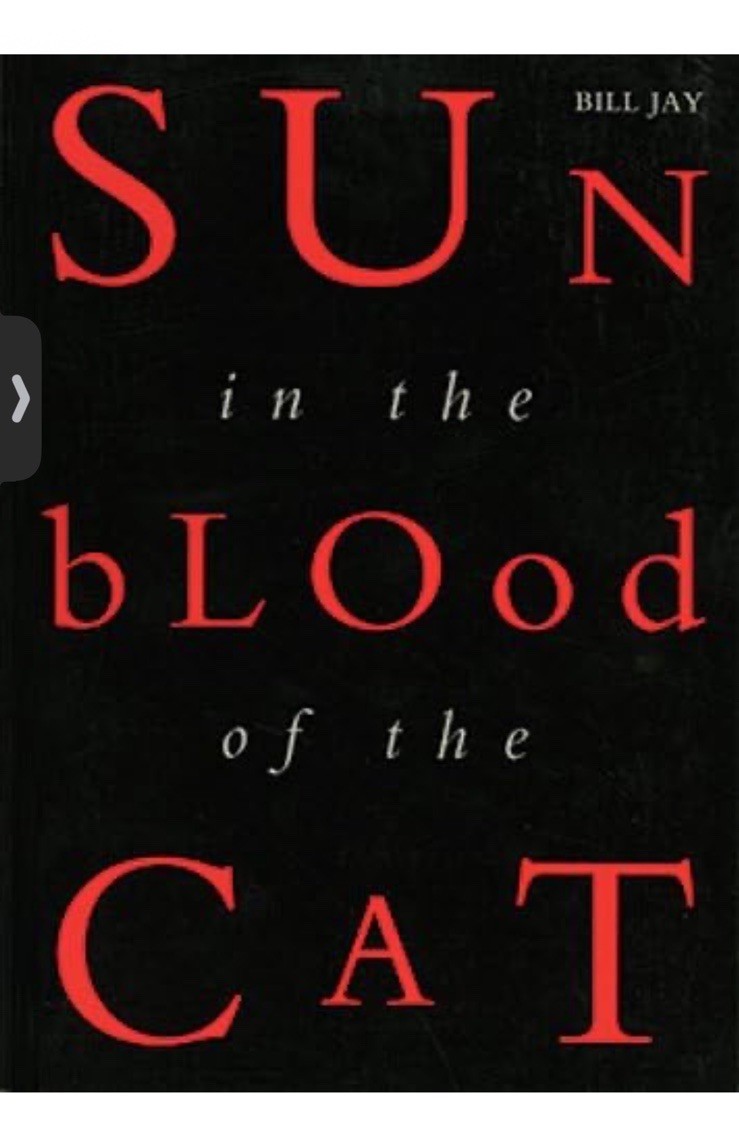 Bill Jay Sun in Blood of Cat Paperback Photography Essays ISBN 1590050029