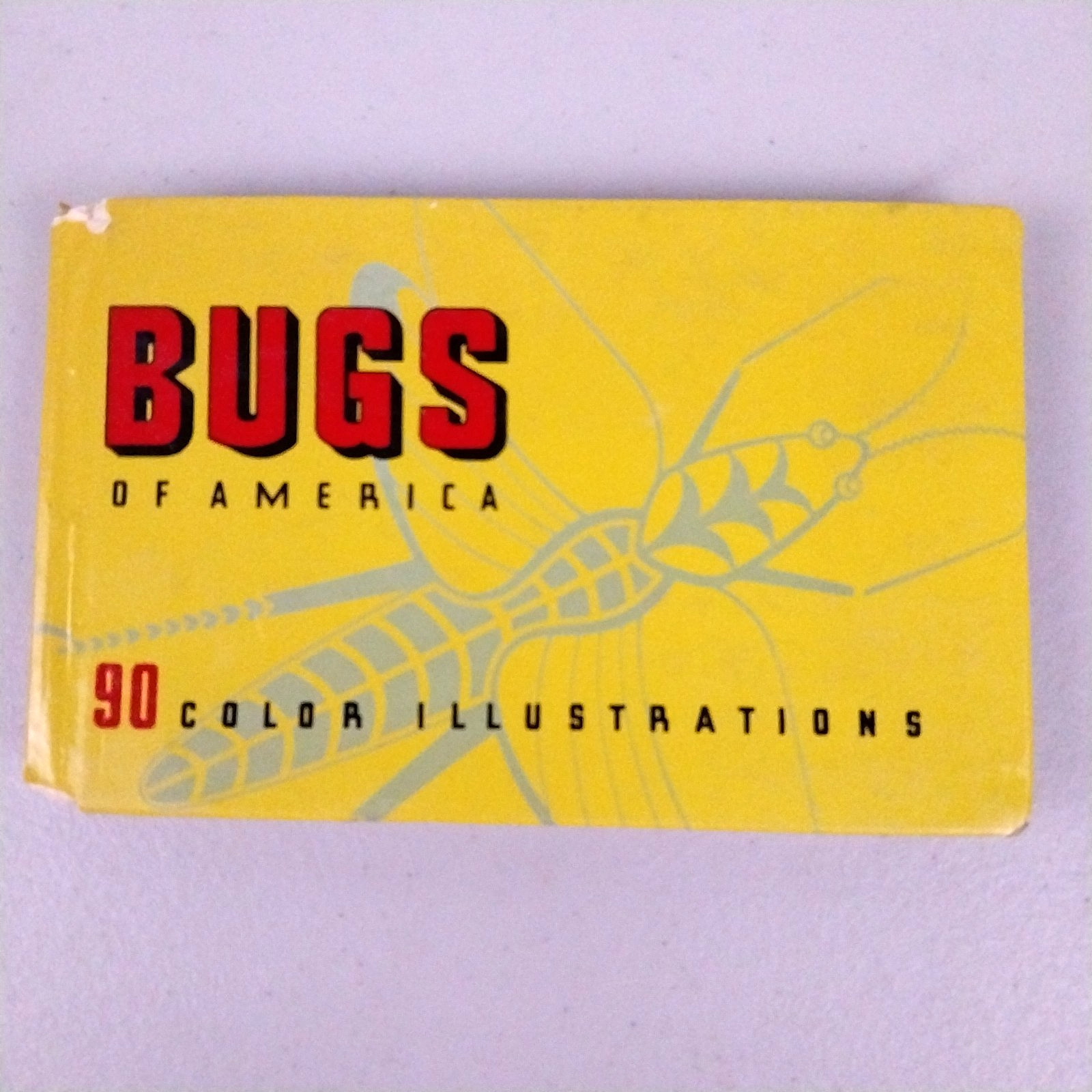 Bugs of America 90 Color Illustrations – Vintage 1937 Miniature Hardcover Book