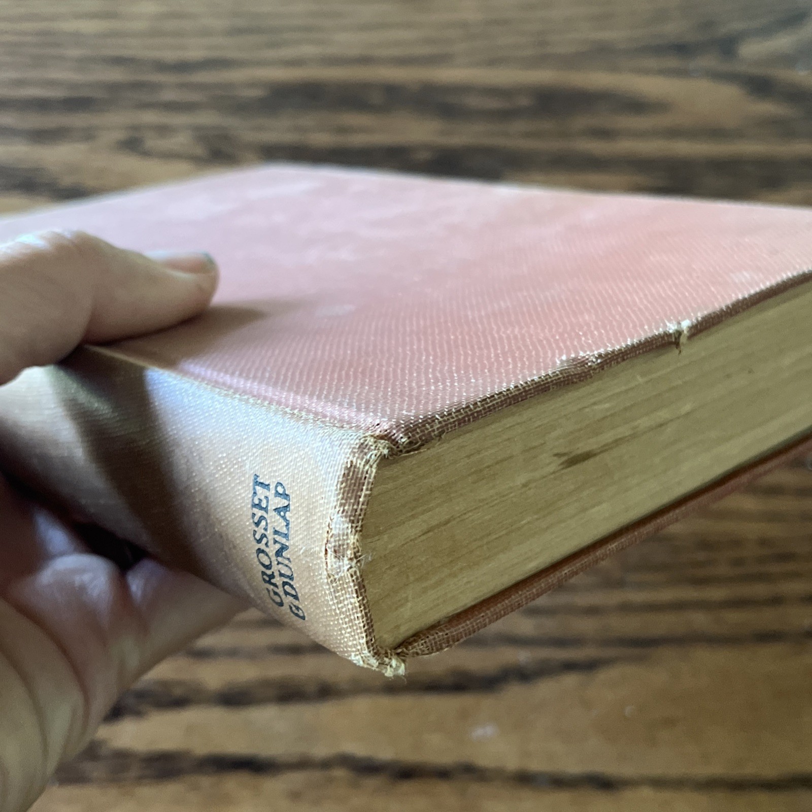 A LANTERN IN HER HAND Bess Streeter Aldrich Early Edition 1928 Grosset & Dunlap