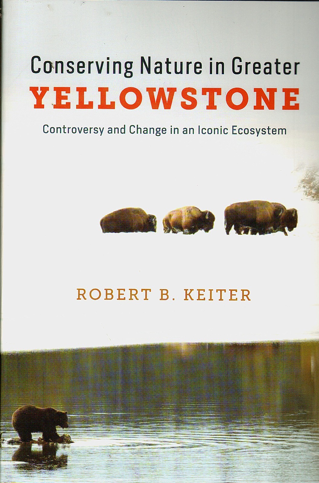 Conserving Nature in Greater Yellowstone by Keiter/Environment/Wildlife/NEW/PB