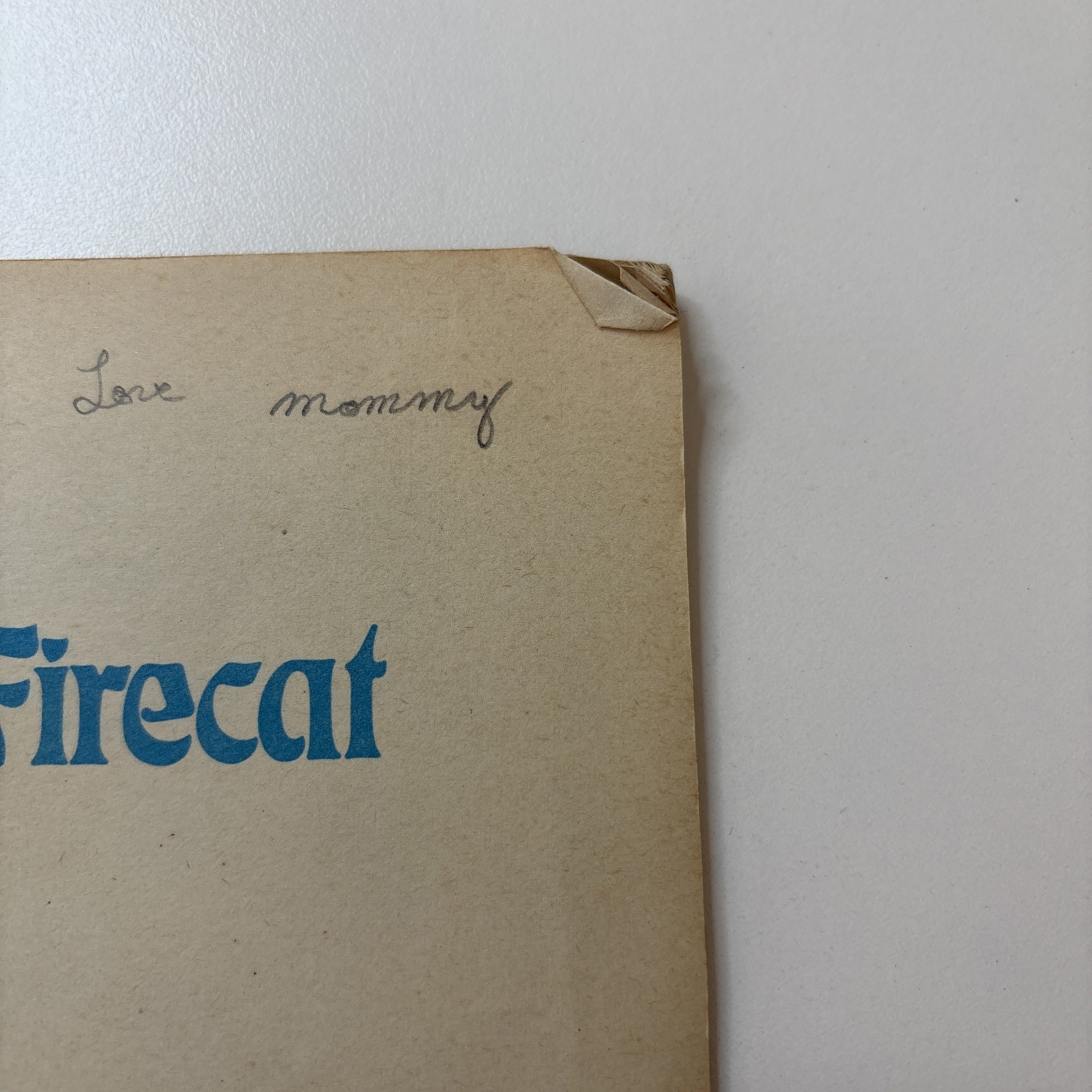 TEASER AND THE FIRECAT BOOK Cat Stevens French English Spanish. Vintage 1972