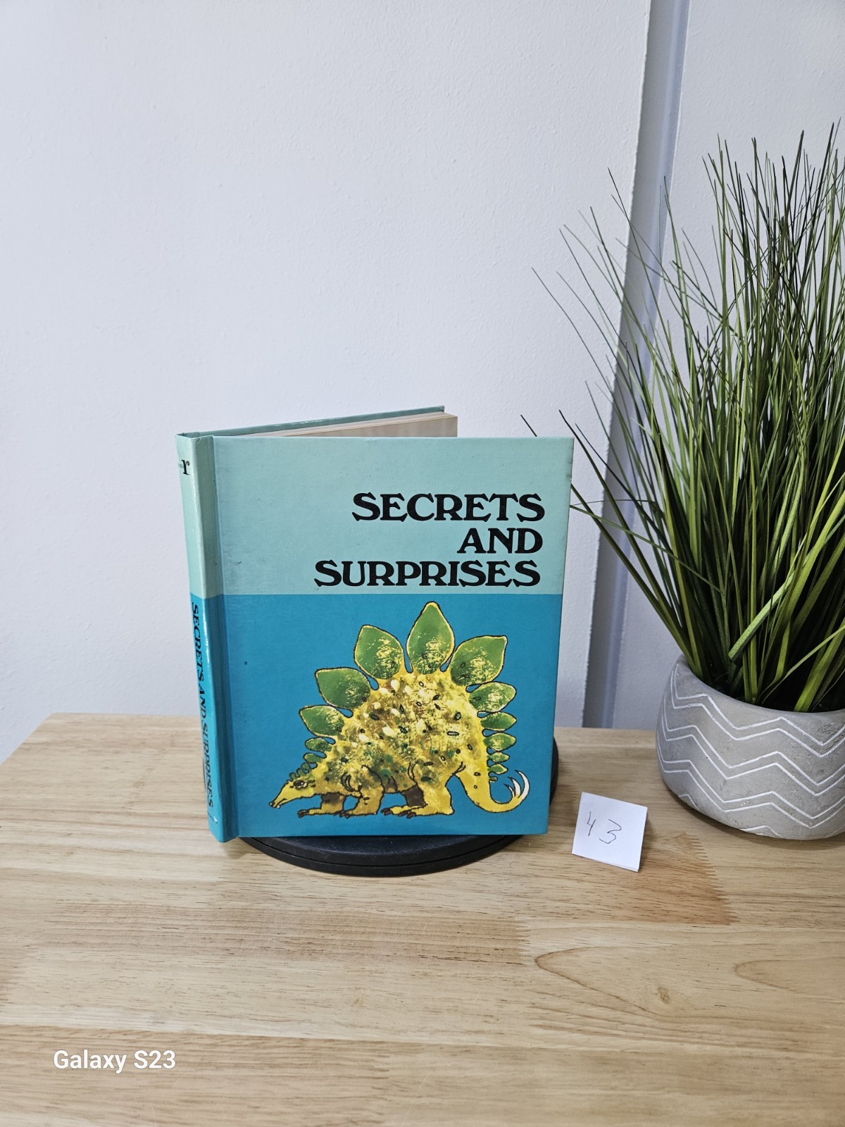 Secrets And Surprises by Carl B. Smith 1990 Hardcover- Macmillian Reading