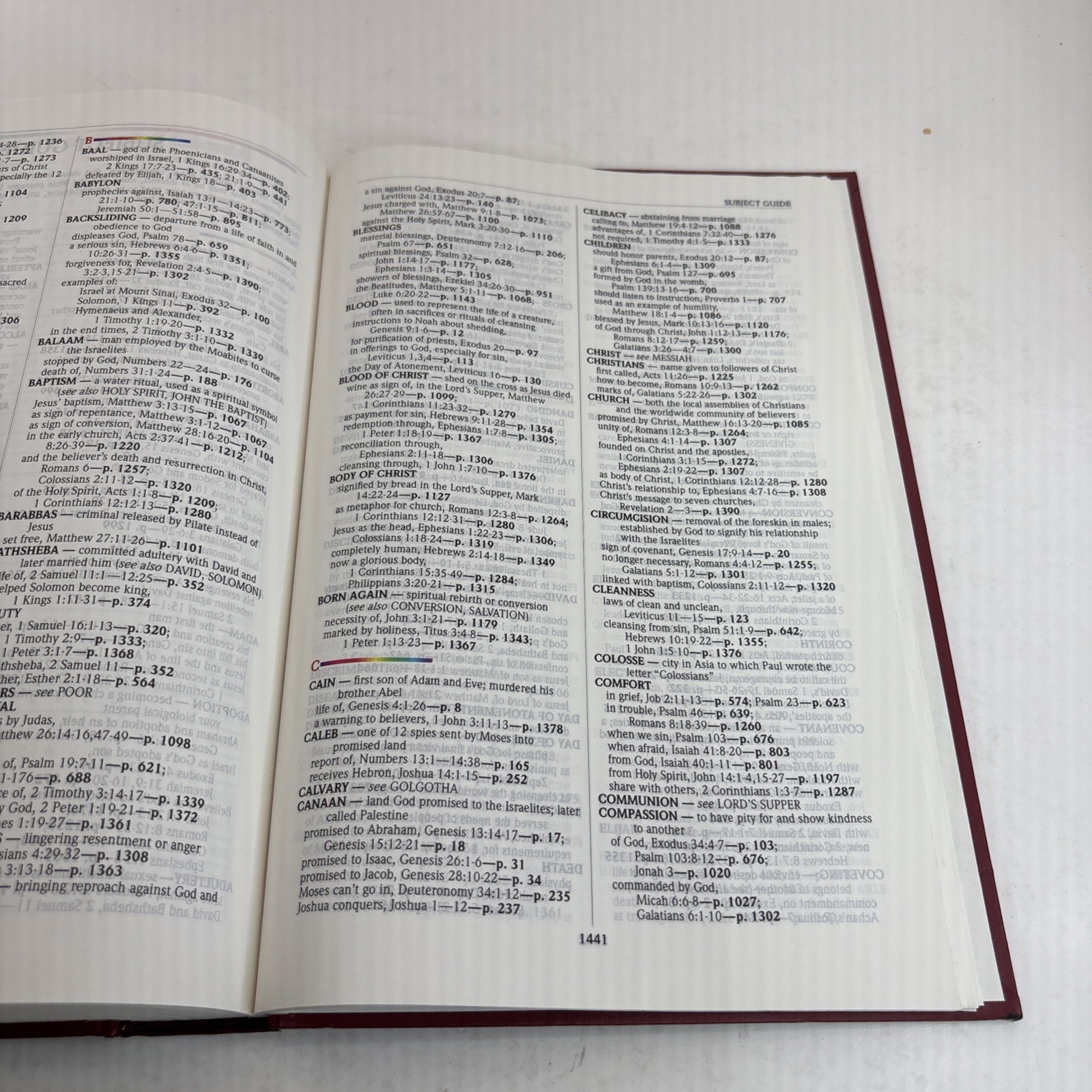 The NIV Rainbow Study Bible Every Verse Color Coded, Bold Line System 1996, HC