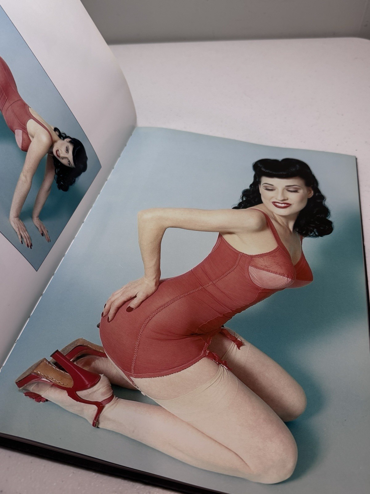 Fetish Goddess: Dita Book.