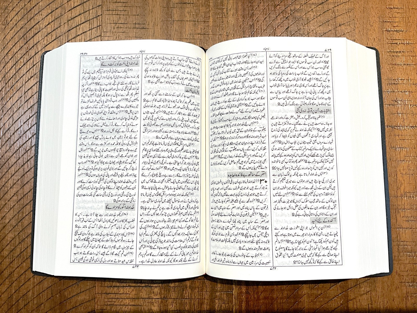 URDU Bible, Persian Script, Compact Black and Gold Vinyl Cover