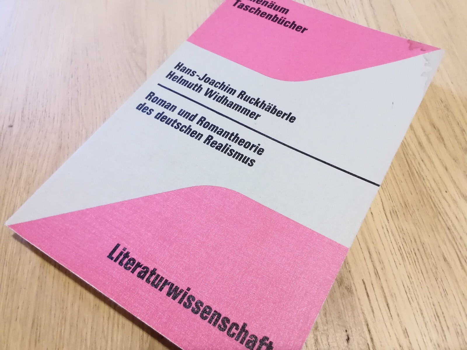 Roman und Romantheorie des deutschen Realismus. Darstellung und Dokumente