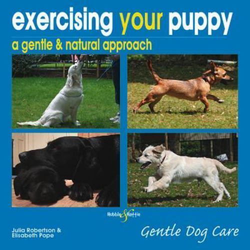 Exercising Your Puppy: A Gentle & Natural Approach