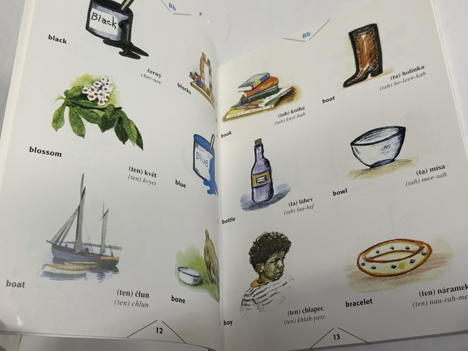 Czech Children’s Illustrated Dictionary Paperback