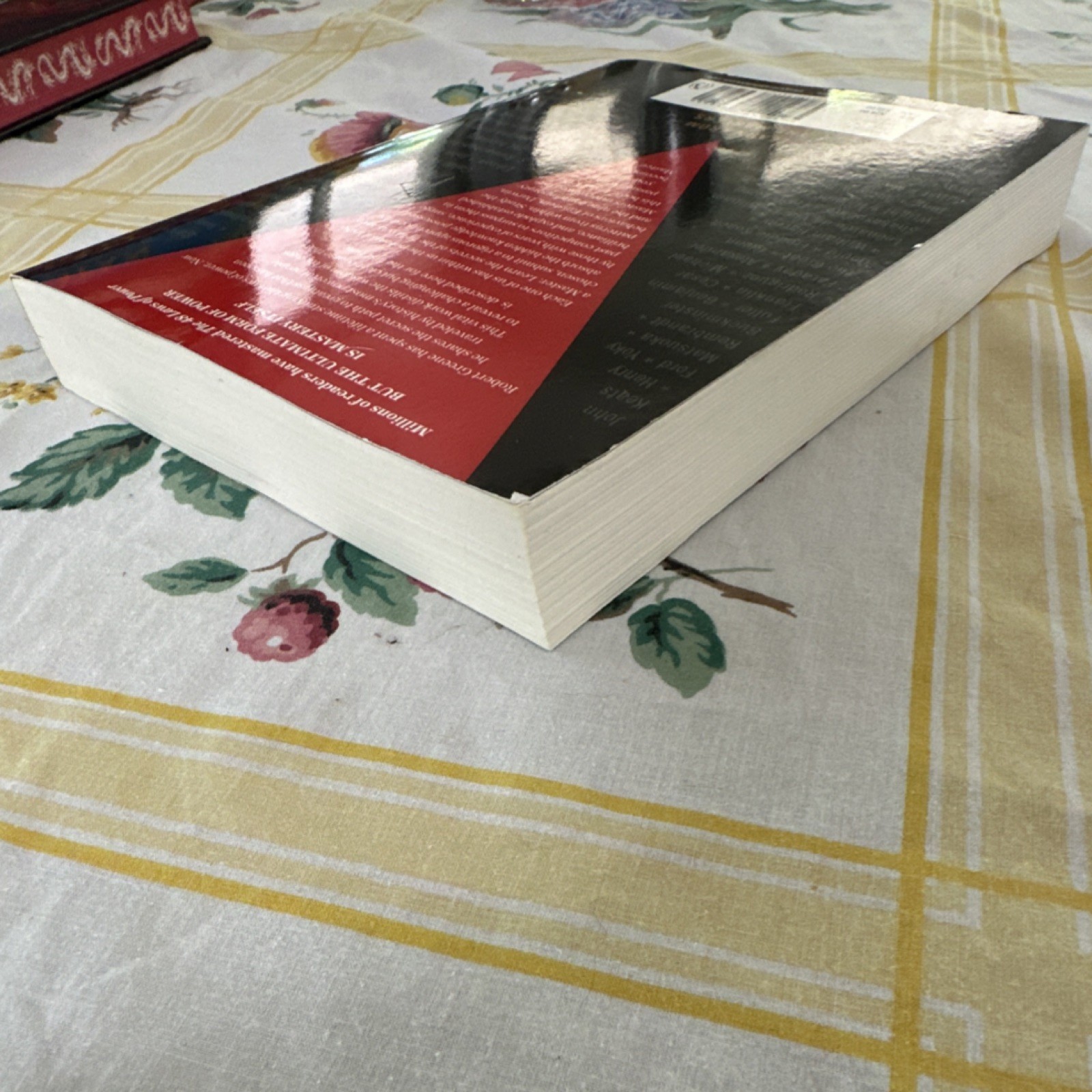 Mastery Robert Greene Trade Paperback Penguin Books 2013 Self-Help Motivational