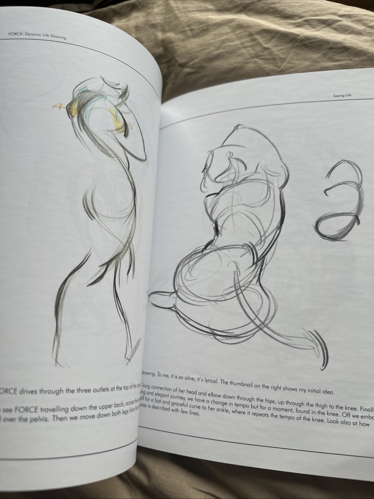 *Signed* FORCE: Dynamic Life Drawing : 10th Anniversary Edition by Mike Mattesi