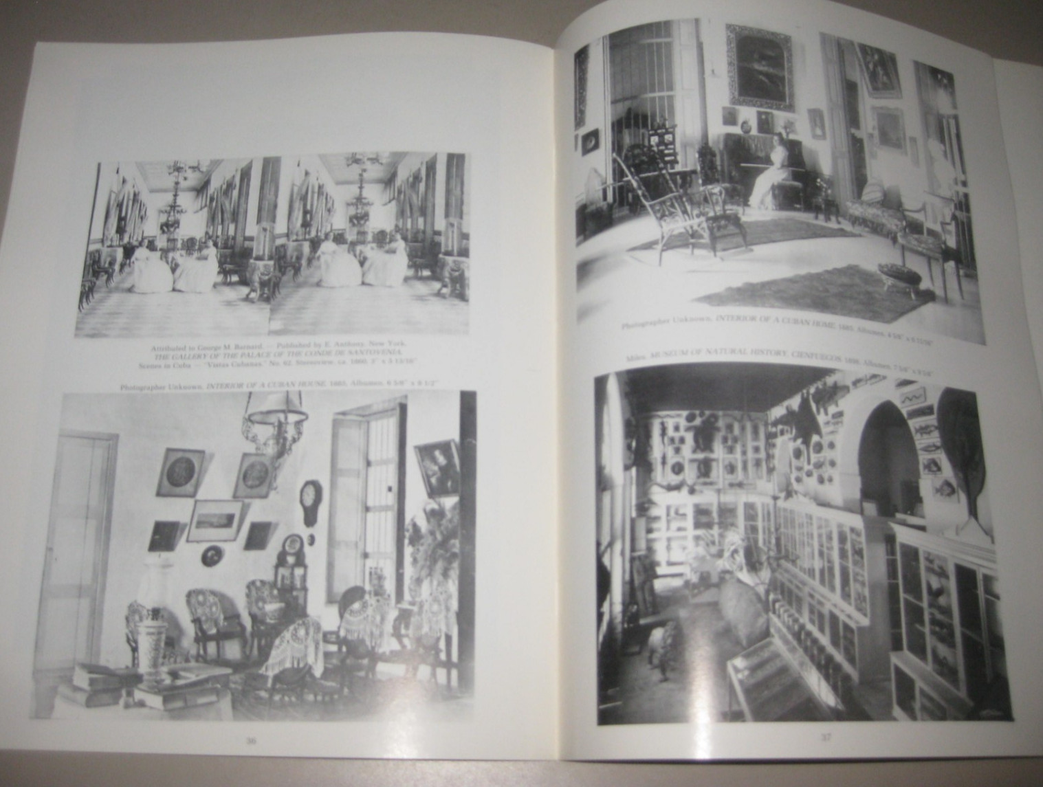 Salon and Picturesque Photography in Cuba 1860-1920