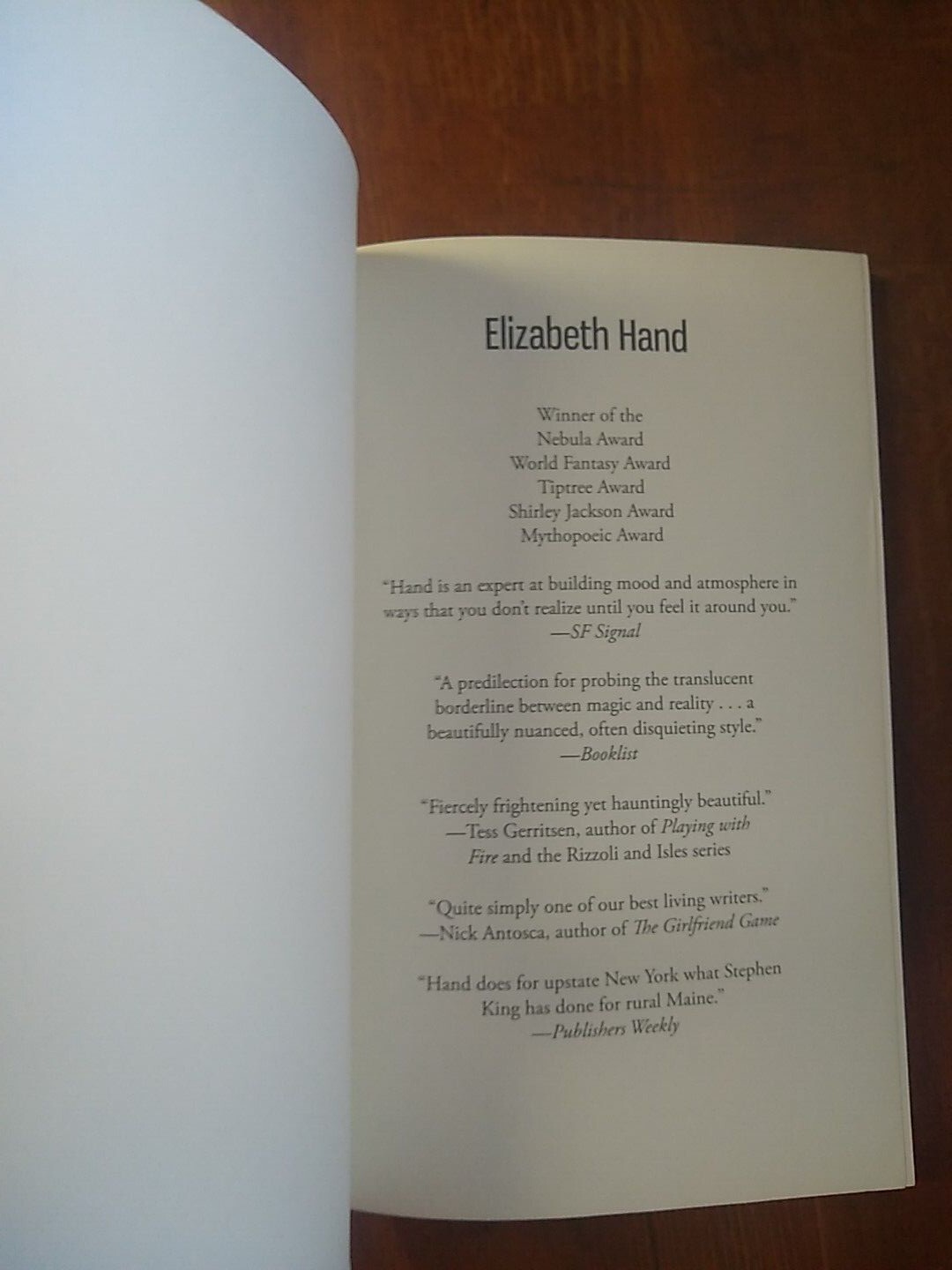 PM Press Outspoken Authors Series: Fire by Elizabeth Hand (2017, tpb), Like New