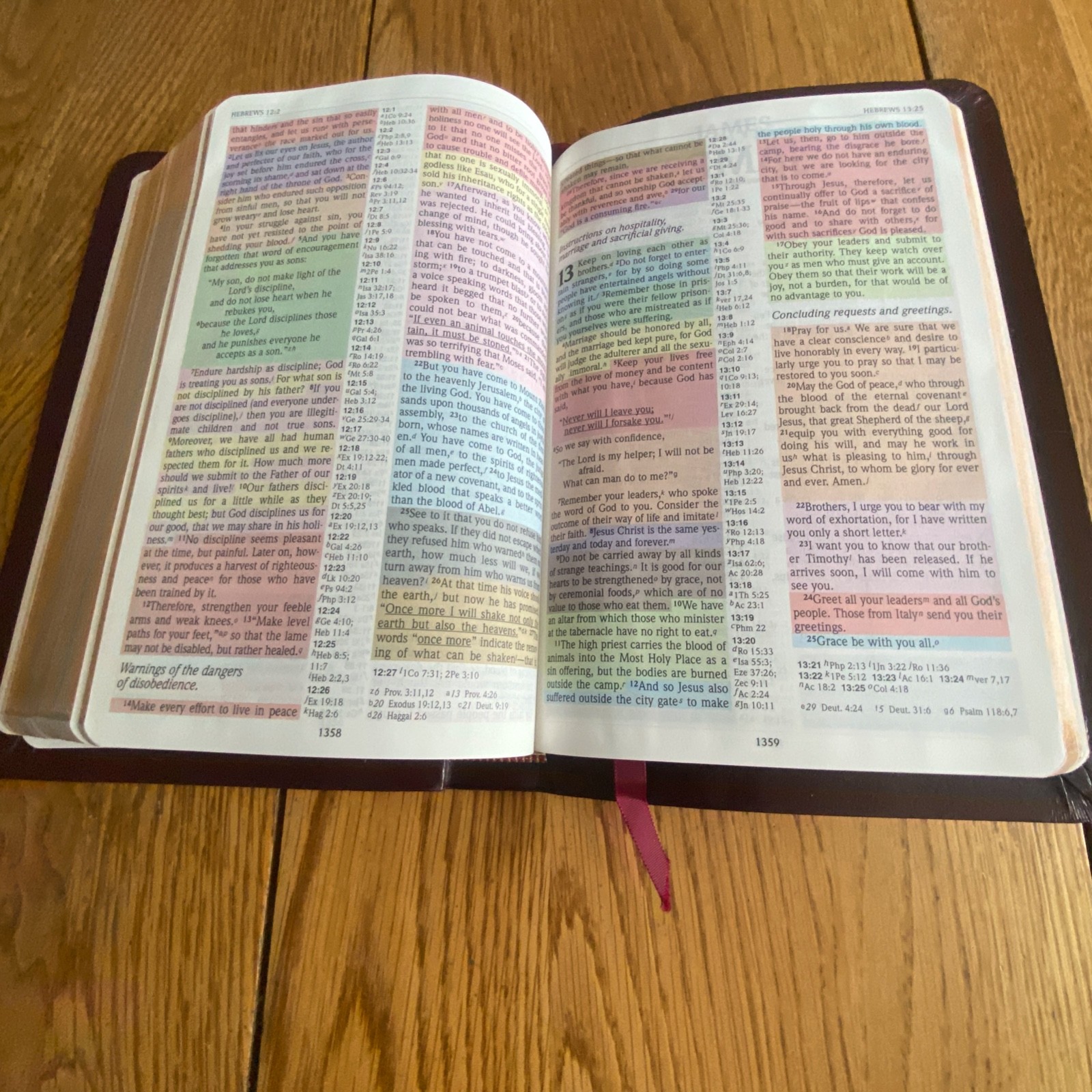 The NIV Rainbow Study Bible Bold Line Edition Burgundy