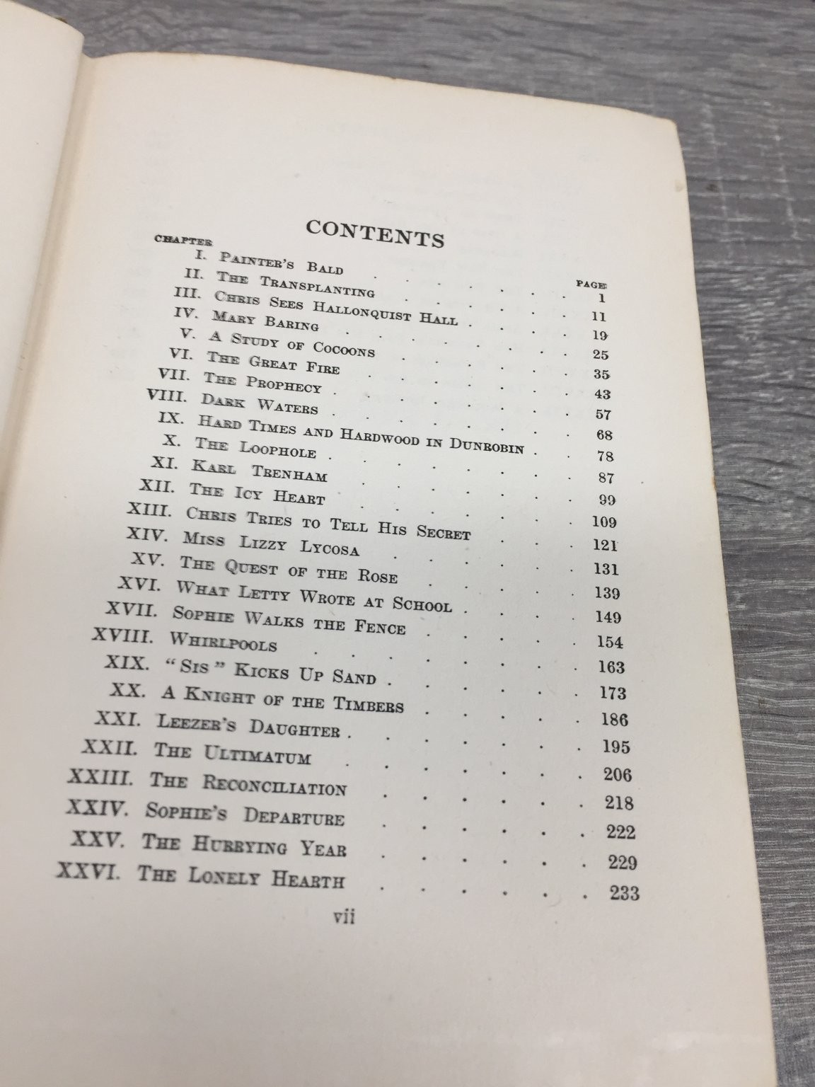 Christopher Laird Sidney McCall 1919 First Edition Dodd, Mead & Company Novel