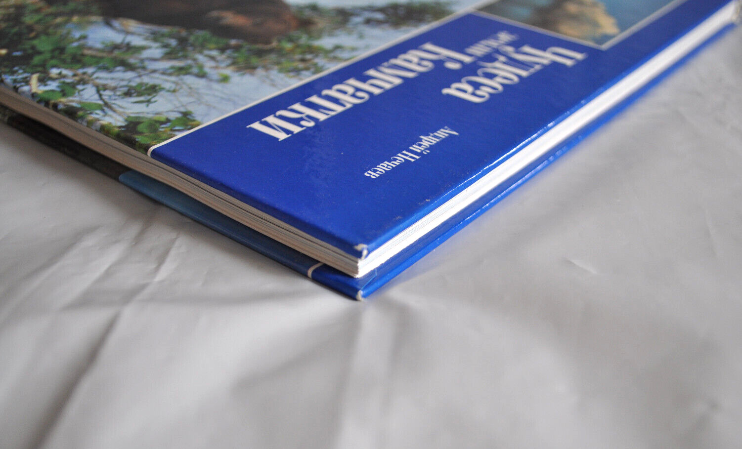 Чудеса земли Камчатки А. Нечаев Miracles of Kamchatka Land Russian English Book