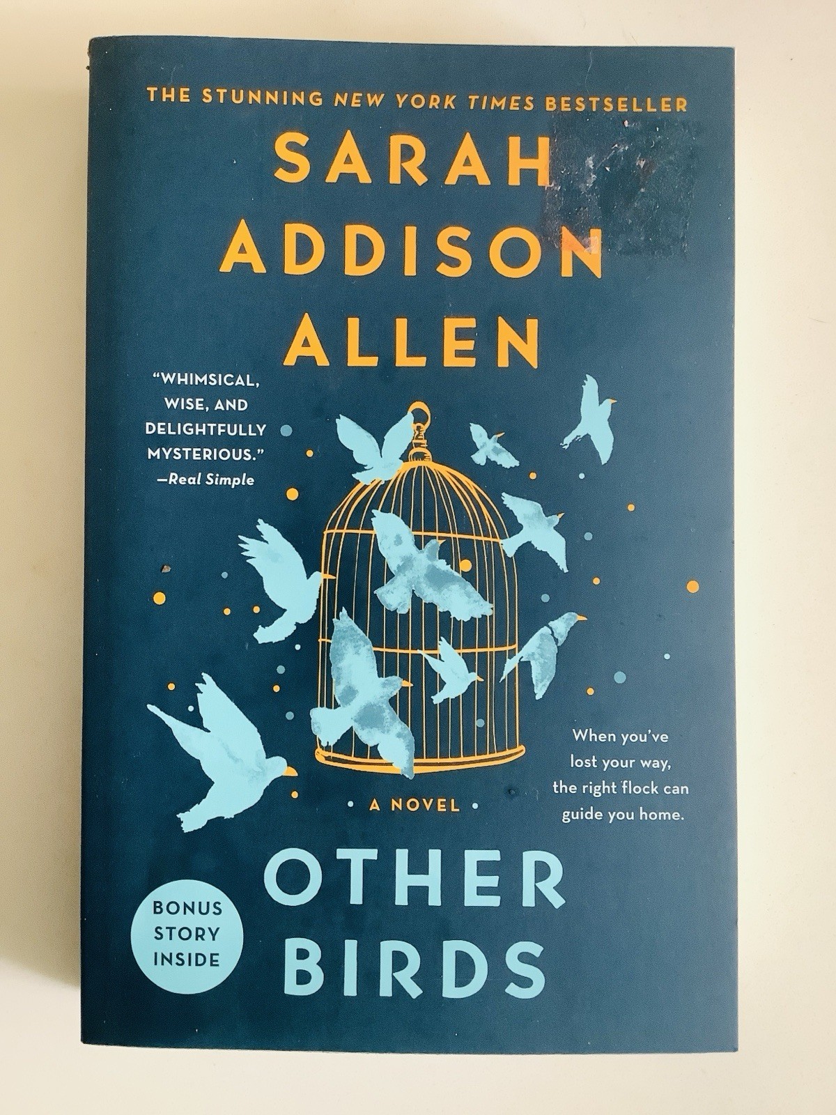 Other Birds : A Novel by Sarah Addison Allen (2023, Trade Paperback) BRAND NEW!!