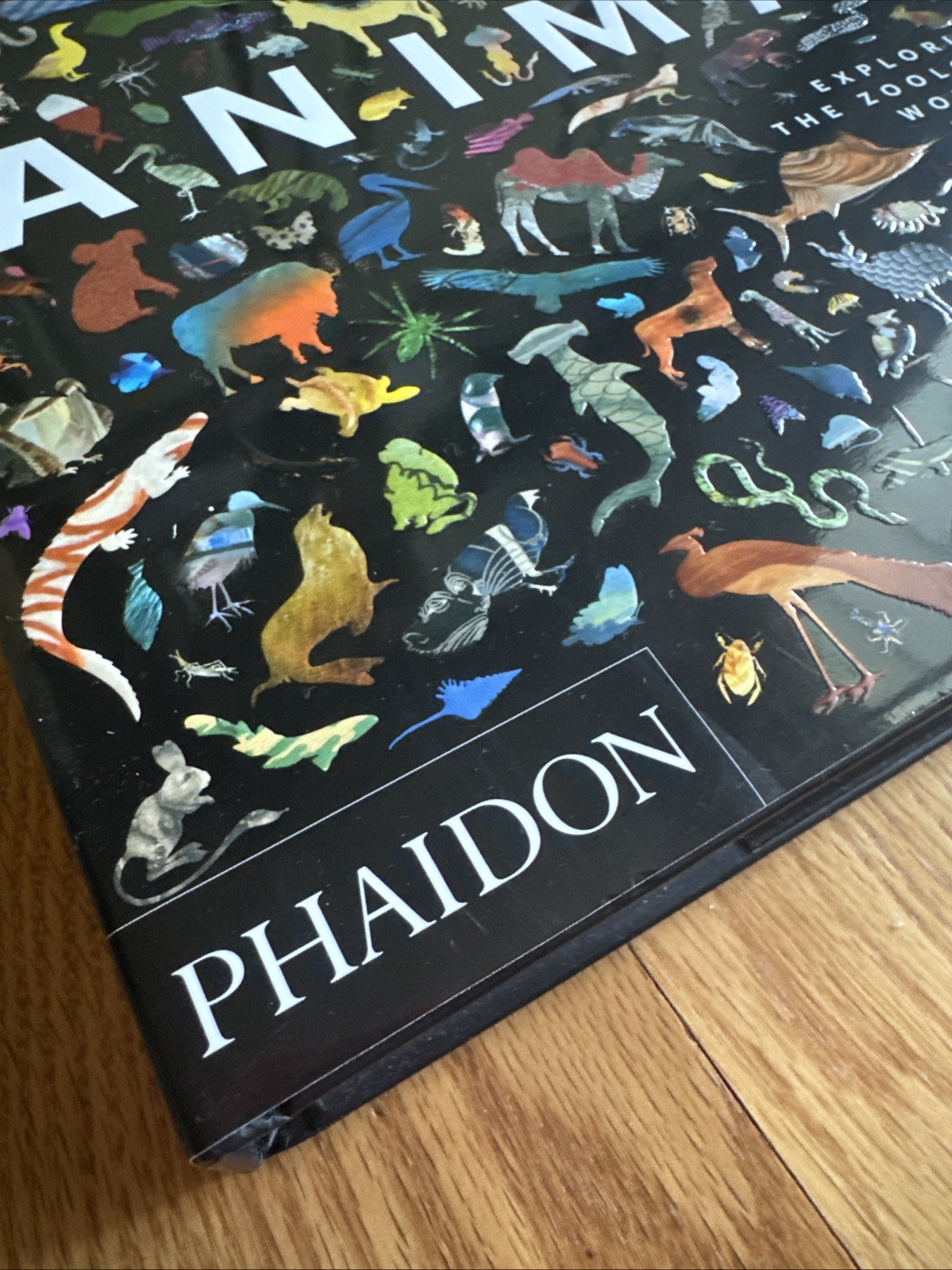 Animal : Exploring the Zoological World by Phaidon Editors (2018, Hardcover)