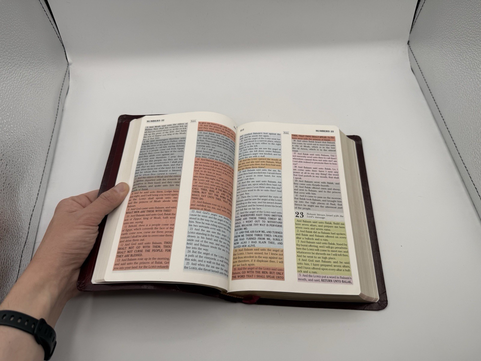 The Rainbow Study Bible: KJV – Every Verse Color Coded – Bold Letter Edition