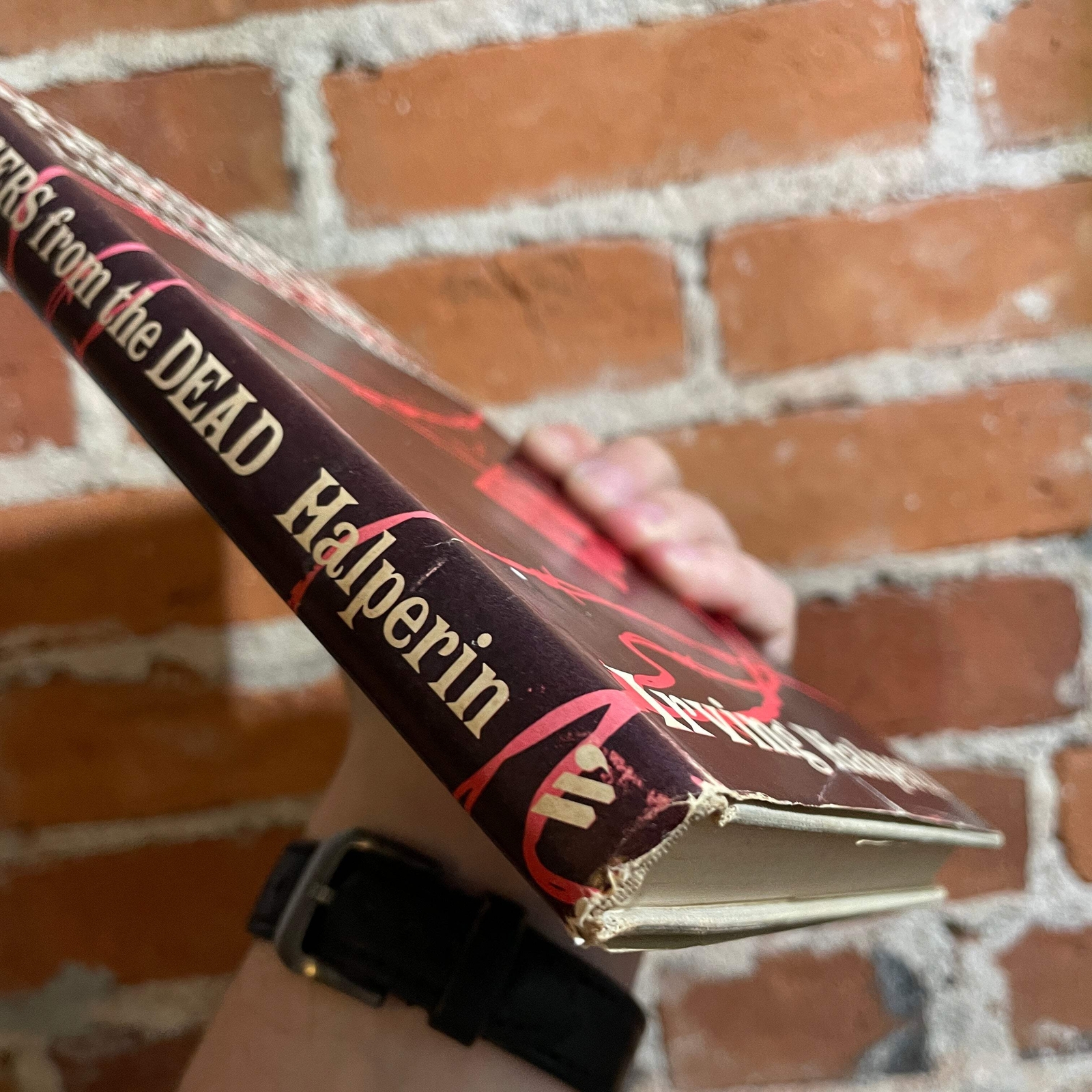 Messengers from the Dead – Irving Halperin – 1970 The Westminster Press Hardback