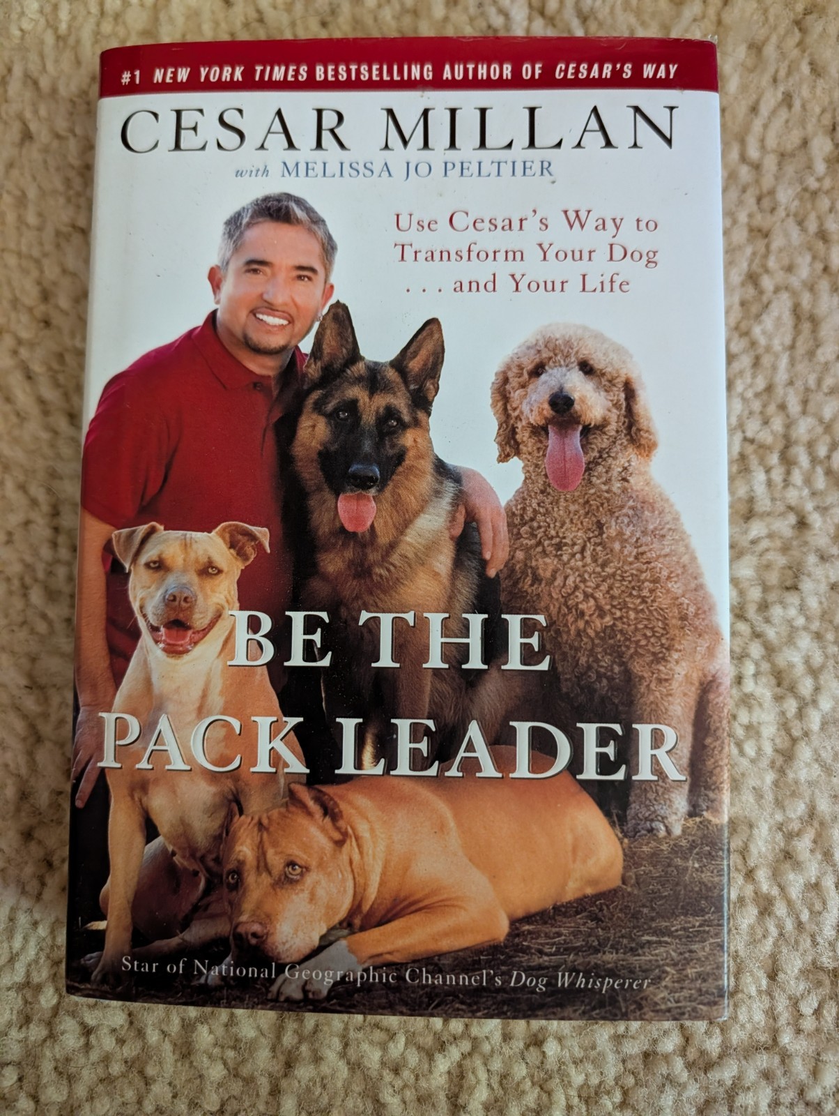 Be the Pack Leader : Use Cesar’s Way to Transform Your Dog… and Your Life…