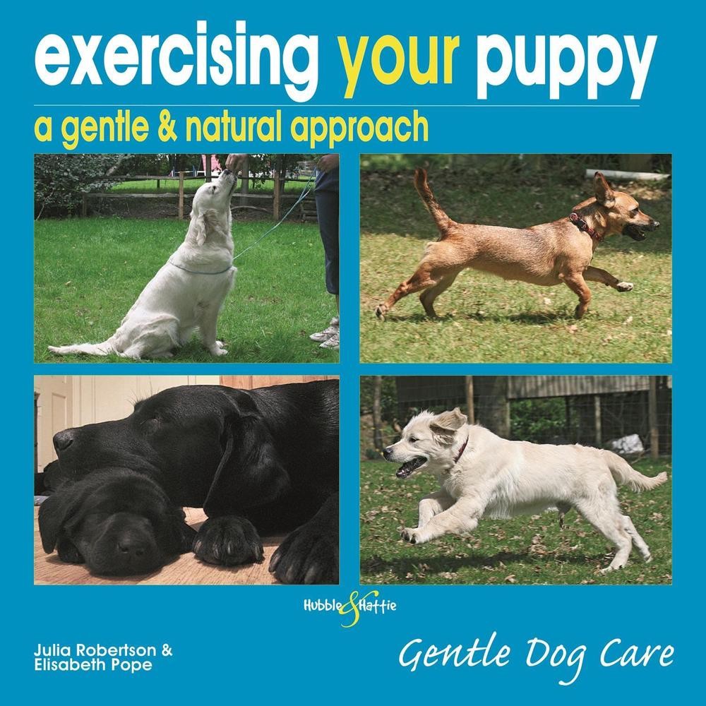 Exercising Your Puppy: a Gentle & Natural Approach: Gentle Dog Care by Julia Rob